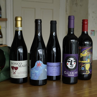 Our Favorite Red Wines That Shine as Winter Holds Its Ground