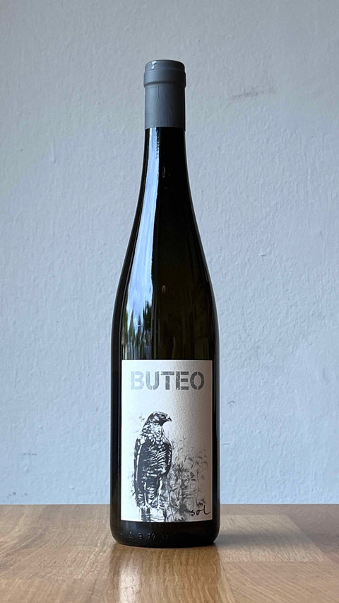 Buteo - Michael Gindl - 2020