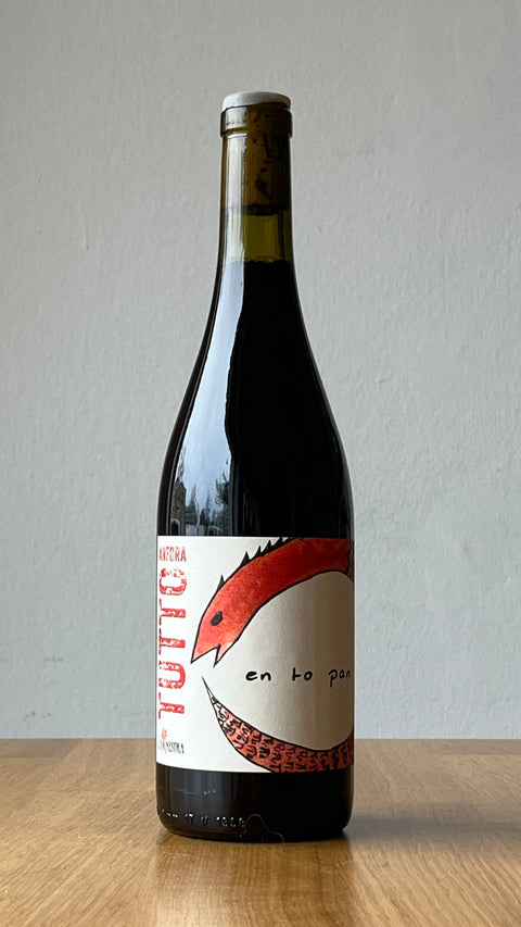 Tutto Anfora - La Ginestra - 2019