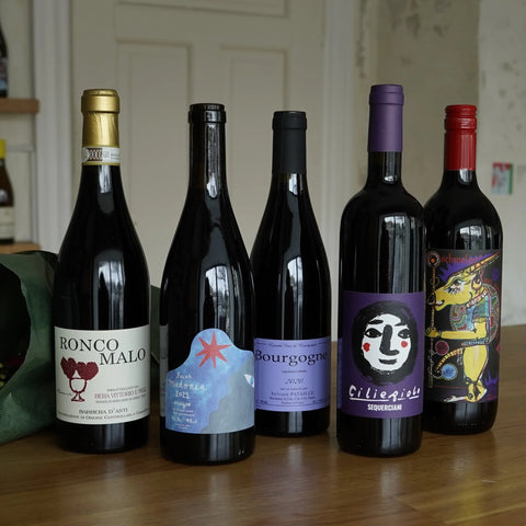 Red Wines That Shine