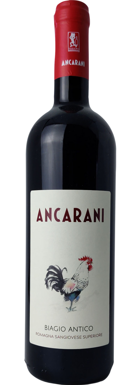 Biagio Antico - Ancarani - Studio Wino