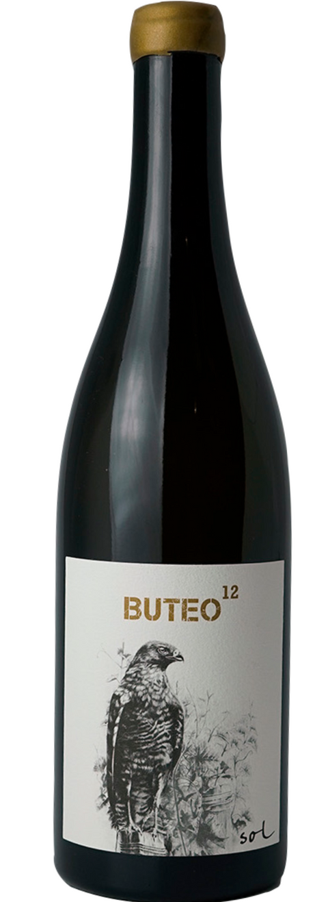 Buteo 12 - Michael Gindl - Studio Wino
