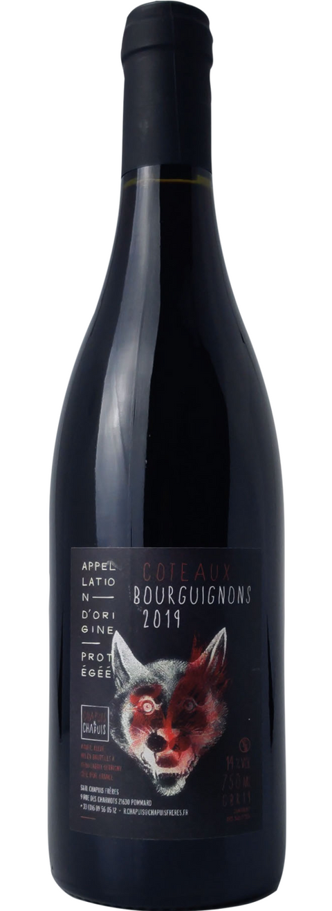 Coteaux Bourguignon - Chapuis Frères - Studio Wino