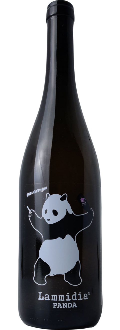 Panda - Lammidia - Studio Wino