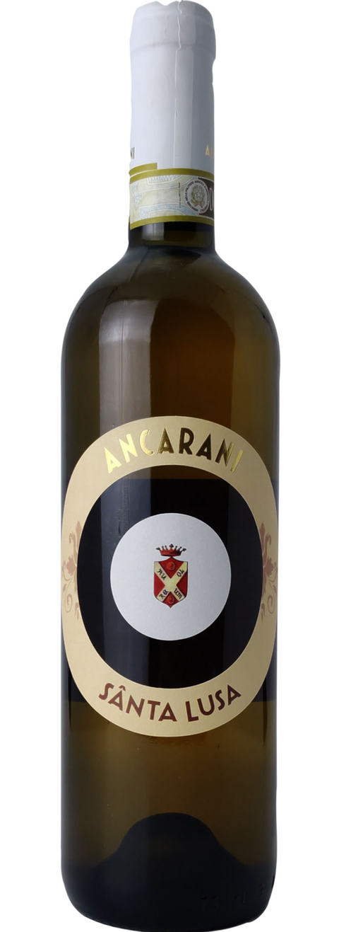 Santa Lusa - Ancarani - Studio Wino