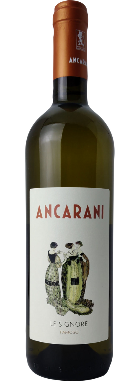 Signore - Ancarani - Studio Wino