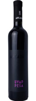 Uvappesa - Ancarani - Studio Wino