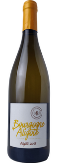 Bourgogne Aligoté - Domaine D'Edouard - Studio Wino